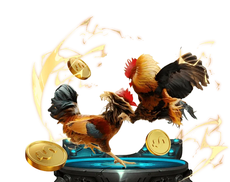 Tổng quan nền tảng cá cược Kubet Bet tại Việt Nam